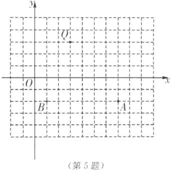 第5题