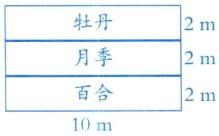 百合2m10m