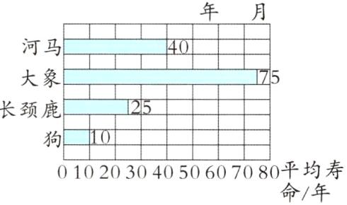 01020304050607080平均寿命年