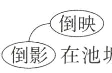 人2大蒲扇似的叶子例在塘的