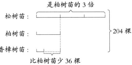 香樟树苗比柏树苗少36棵