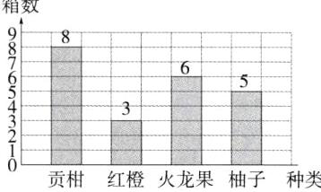 贡柑红橙火龙果柚子种类