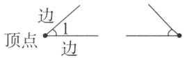 顶点