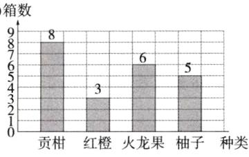 贡柑红橙火龙果柚子种类