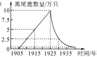 25-1905191519251935时间年
