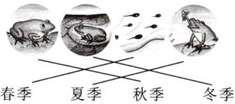 春季夏季秋季冬季