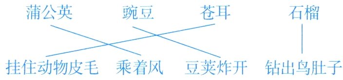 挂住动物皮毛乘着风豆荚炸开钻出鸟肚子