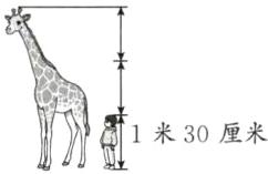 1米30厘米