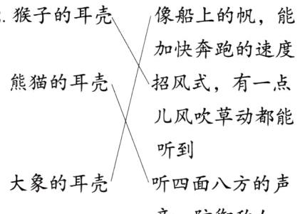 大象的耳壳听四面八方的声