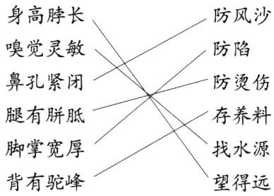 脚掌宽厚找水源背有驼峰望得远
