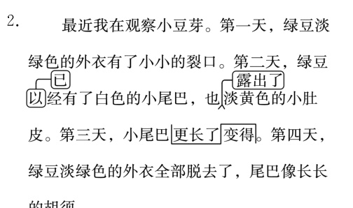 绿豆淡绿色的外衣全部脱去了尾巴像长长的胡须