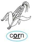 corn
