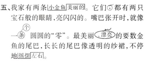 鱼的尾巴长长的尾巴像透明的纱裙不停地摇摆左石