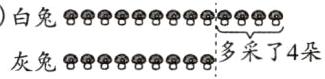 2白兔9灰兔99999999多采了4朵