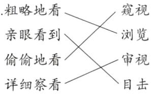 偷偷地看审视详细察看目击