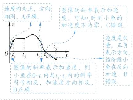 符号相反加速度方向相反错误D正确