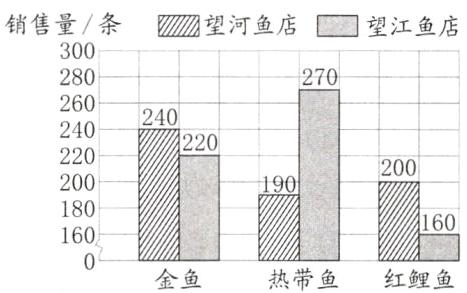 160热带鱼金鱼红鲤鱼