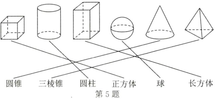 圆锥三棱锥圆柱长方体正方体第5题