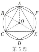 第5题