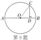 第9题