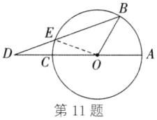 第11题