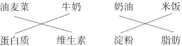 维生素淀粉脂肪蛋白质