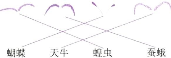 蚕蛾蝗虫蝴蝶天牛