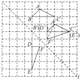 t1sf11二3二1二T二E二1TN
