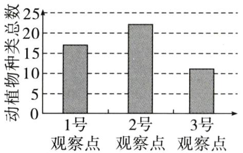 2号1号3号观察点观察点观察点