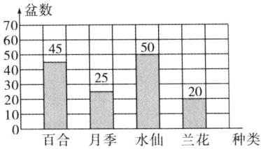 百合月季水仙兰花种类