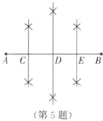 第5题