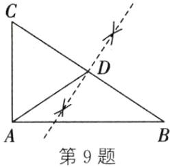 A第9题