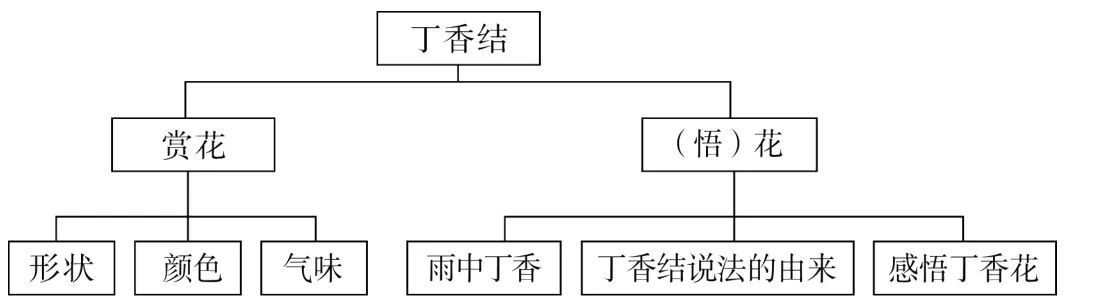 形状颜色气味雨中丁香丁香结说法的由来感悟丁香花