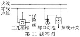 螺口灯泡拉线开关三孔插座第11题答图