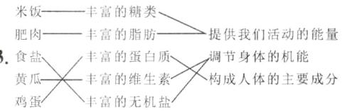 丰富的维生素构成人体的主要成分鸡蛋丰富的无机盐