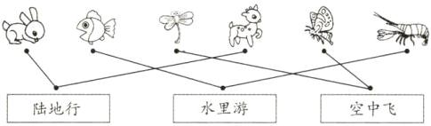 水里游空中飞陆地行