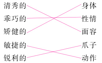 爪子敏捷的锐利的动作