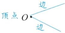 顶点