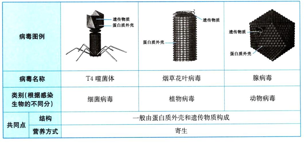 共同点寄生营养方式