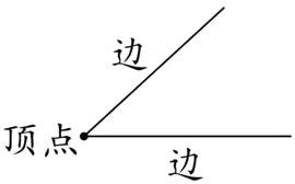 顶点