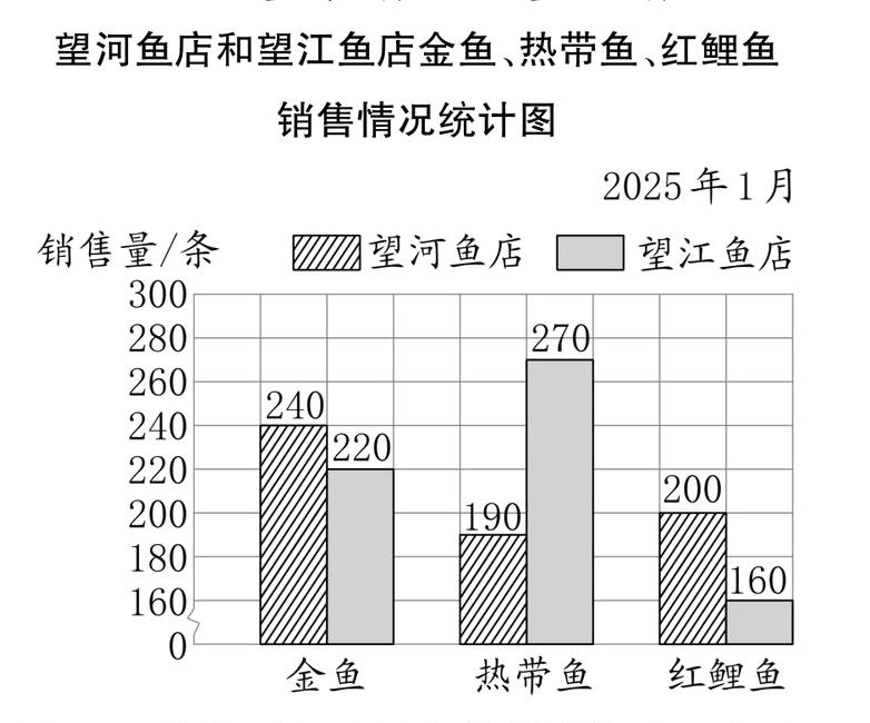 热带鱼红鲤鱼金鱼