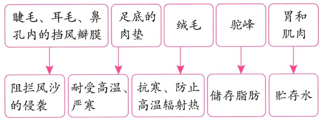 高温辐射热的侵袭严寒