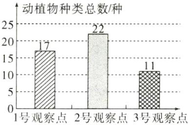 51号观察点2号观察点3号观察点