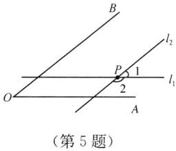 第5题