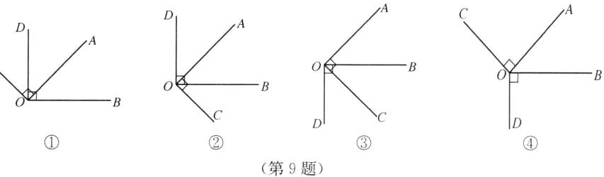 第9题