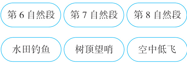 水田钓鱼树顶望哨空中低飞