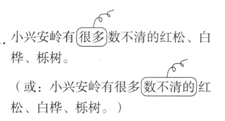 松白桦栎树