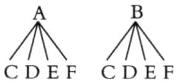 CDEFCDEF