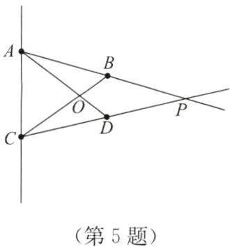 第5题