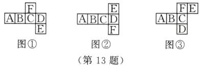 图图图第13题